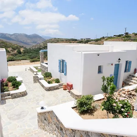 οasis 3*